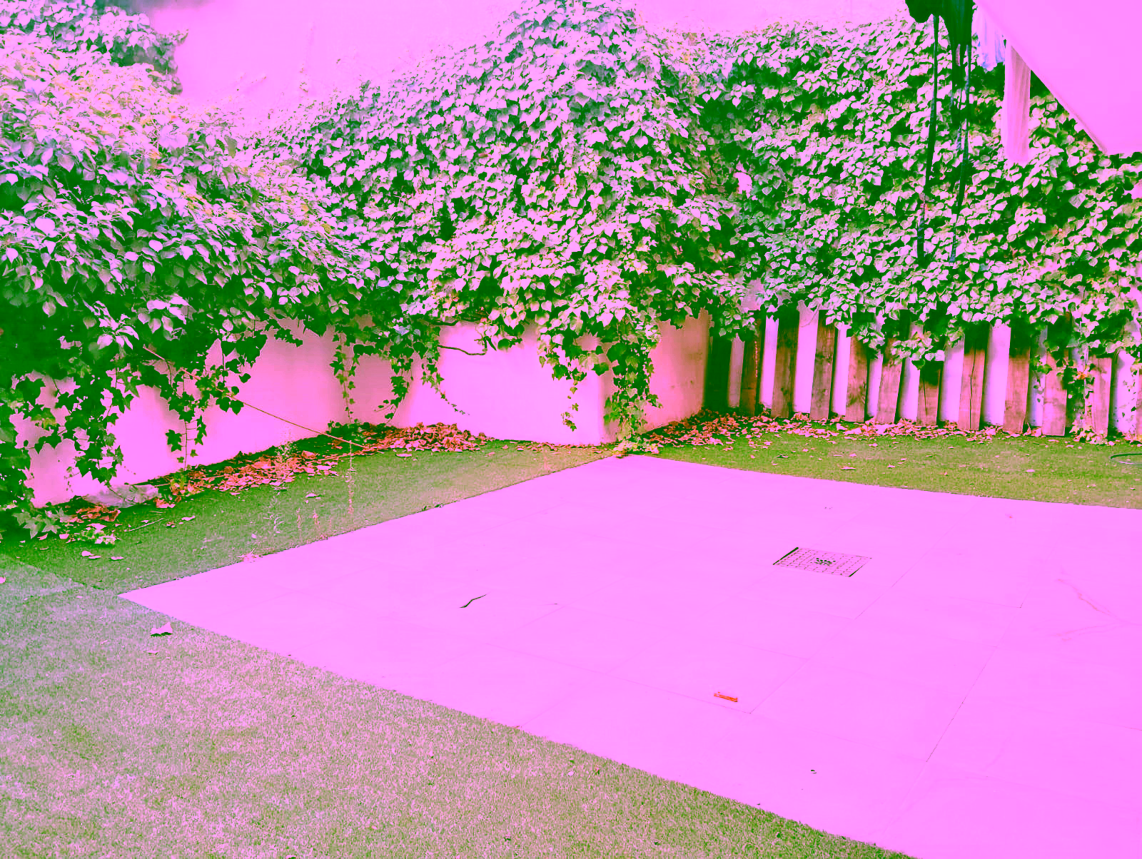 IMG-20250923-WA0056 Imagen 9 - Local en venta en Calle de Agustín Rojas, Ciudad Jardín, Chamartín, Madrid